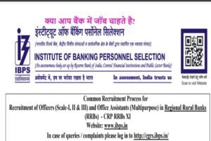 IBPS RRB Clerk 2024 Notification