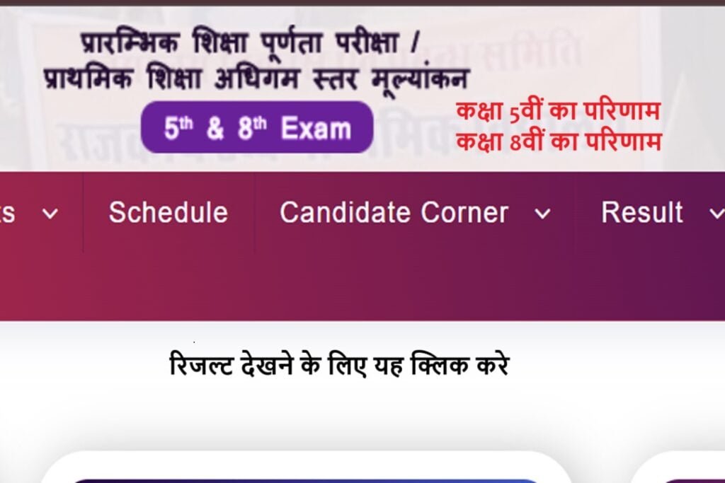 RBSE 5th 8th result 2024 in hindi