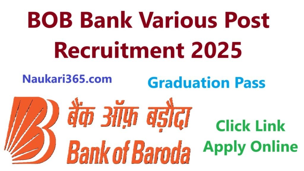 BOB Bank Various Vacancy 2025 Apply Online